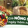 Thông tin giá nông sản