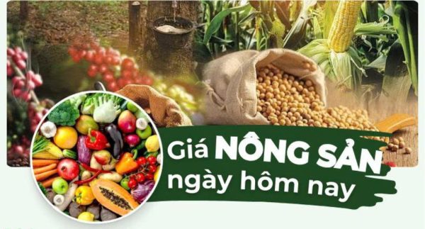 Thông tin giá nông sản